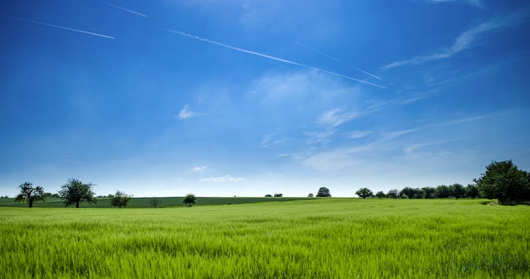 farmland