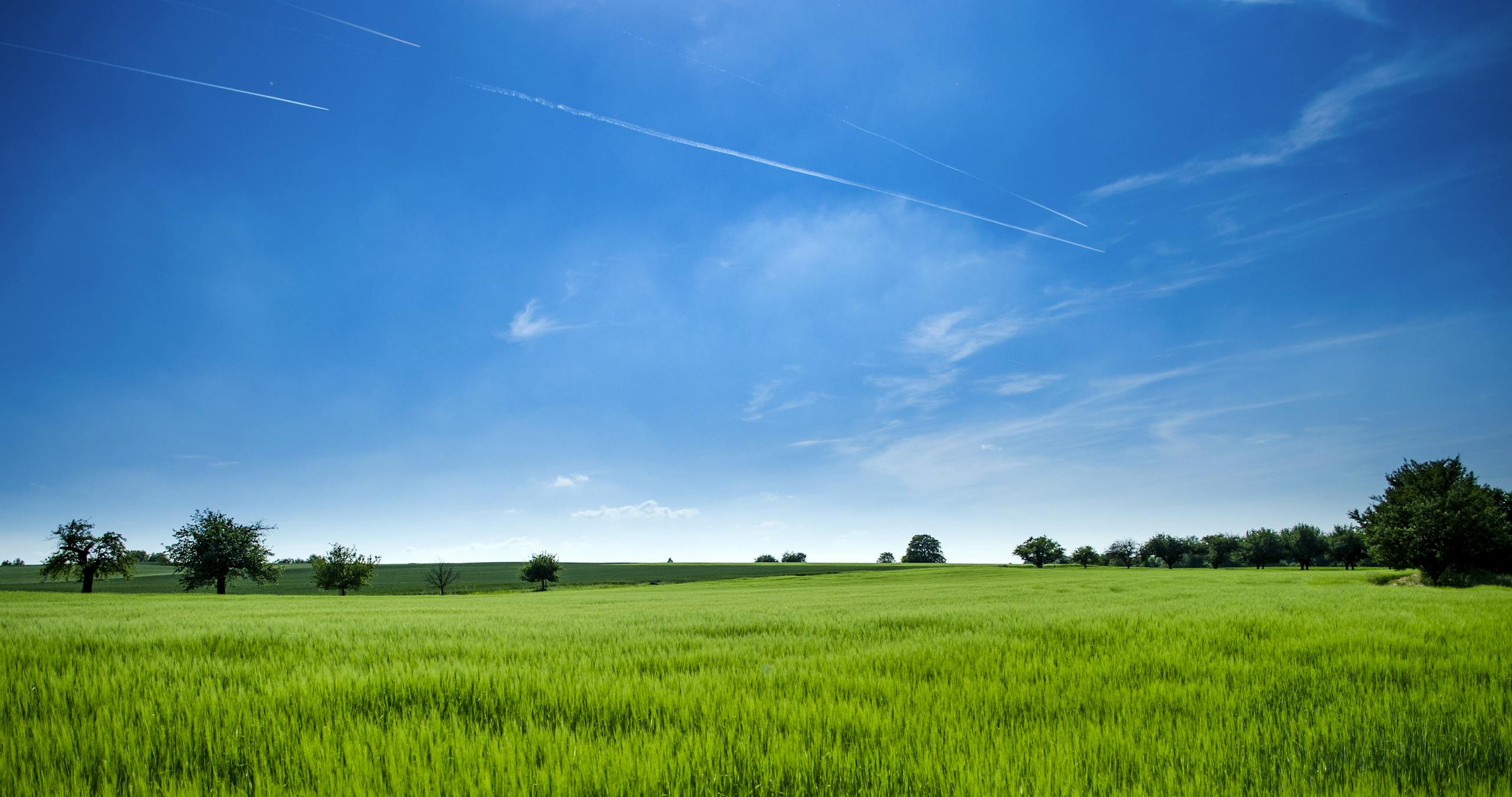 farmland